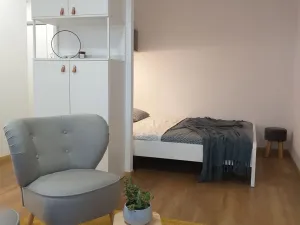 Pronájem bytu 1+kk, Pardubice - Zelené Předměstí, Palackého třída, 37 m2