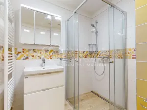 Pronájem bytu 1+kk, Hořovice, Pod Drahou, 39 m2