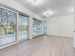 Pronájem bytu 1+kk, Hořovice, Pod Drahou, 39 m2