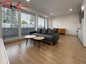 Pronájem bytu 1+kk, Mladá Boleslav, Nad Červenkou, 46 m2