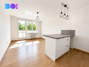 Pronájem bytu 1+kk, Ostrava, Výškovická, 27 m2