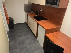 Pronájem obchodního prostoru, Olomouc, Kafkova, 237 m2