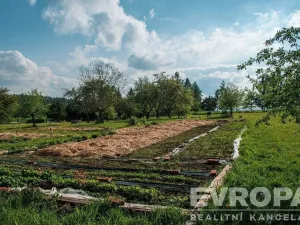 Prodej pozemku pro bydlení, Rataje nad Sázavou, 8345 m2
