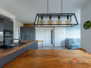 Pronájem bytu 3+kk, Heřmanova Huť - Vlkýš, U Pondu, 80 m2