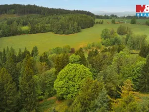 Prodej chalupy, Borová, 70 m2