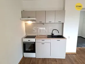 Pronájem bytu 1+kk, Vysoká - Strážnice, 33 m2