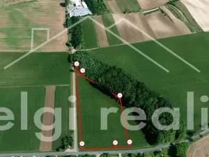 Prodej komerčního pozemku, Hrušovany nad Jevišovkou, Lidická, 14000 m2