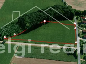 Prodej komerčního pozemku, Hrušovany nad Jevišovkou, Lidická, 14000 m2