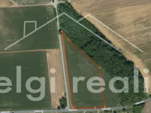 Prodej komerčního pozemku, Hrušovany nad Jevišovkou, Lidická, 14000 m2