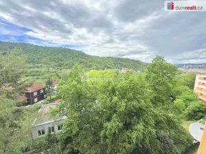 Pronájem bytu 1+kk, Ústí nad Labem - Střekov, Tolstého, 20 m2