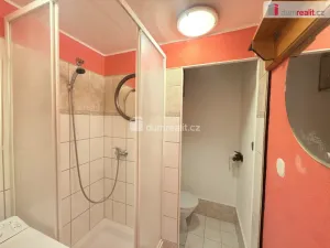 Pronájem bytu 1+kk, Ústí nad Labem - Střekov, Tolstého, 20 m2