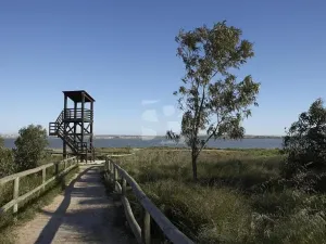 Prodej bytu 3+kk, San Miguel de Salinas, Španělsko, 73 m2