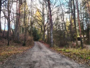 Prodej chaty, Malšice - Dobřejice, 28 m2