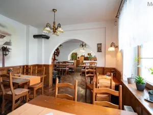 Prodej restaurace, Litvínov - Horní Litvínov, Studentská, 388 m2