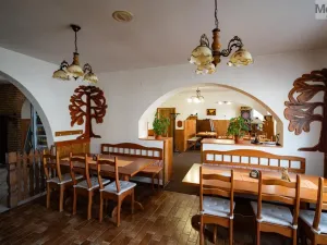 Prodej restaurace, Litvínov - Horní Litvínov, Studentská, 388 m2