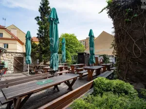 Prodej restaurace, Litvínov - Horní Litvínov, Studentská, 388 m2