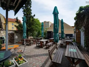 Prodej restaurace, Litvínov - Horní Litvínov, Studentská, 388 m2