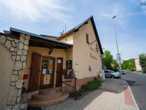 Prodej restaurace, Litvínov - Horní Litvínov, Studentská, 388 m2