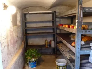 Prodej rodinného domu, Blížejov, Lštění, 46 m2