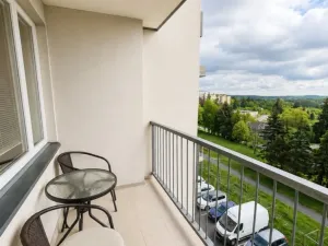 Prodej bytu 2+1, Tachov, Stadtrodská, 55 m2