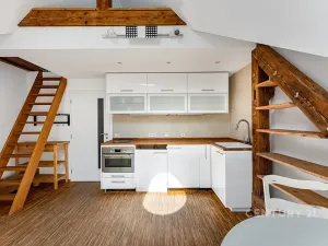 Prodej bytu 1+kk, Praha - Bohnice, V Zámcích, 35 m2