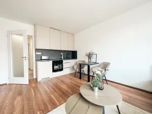 Pronájem bytu 1+kk, Milovice - Mladá, Armádní, 37 m2