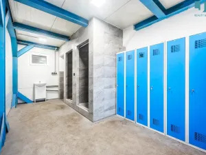 Prodej výrobních prostor, Přerov, 764 m2