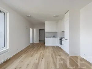 Pronájem bytu 2+kk, Praha - Kamýk, Hodkovická, 47 m2