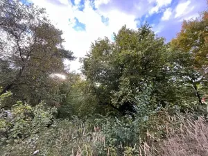Prodej chaty, Prostějovičky, 47 m2