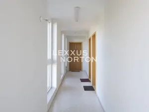 Pronájem bytu 1+kk, Praha - Vinohrady, Italská, 57 m2