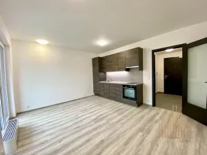 Pronájem bytu 1+kk, Praha - Holešovice, Na Maninách, 33 m2