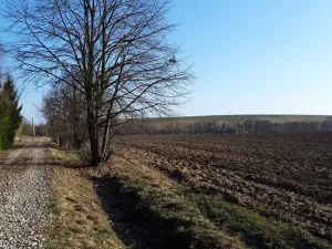 Prodej pozemku pro bydlení, Libina, 12500 m2