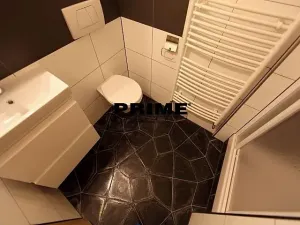 Pronájem bytu 4+kk, Praha - Vinohrady, Havlíčkovy sady, 170 m2