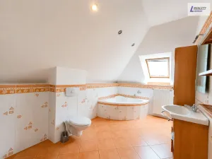 Pronájem rodinného domu, Klučenice, 300 m2