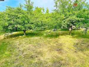 Prodej pozemku pro bydlení, Načeradec, 620 m2