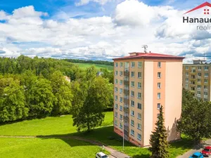 Prodej bytu 2+1, Cheb, Družstevní, 51 m2