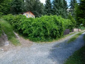 Pronájem zahrady, Stříbrná Skalice, 1015 m2