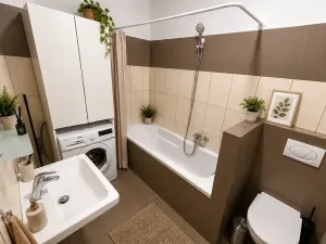 Pronájem bytu 2+kk, Teplice, Jankovcova, 45 m2