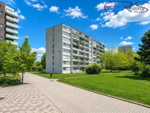 Prodej bytu 2+kk, Praha - Karlín, Nekvasilova, 40 m2