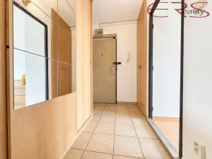 Prodej bytu 2+kk, Praha - Karlín, Nekvasilova, 40 m2