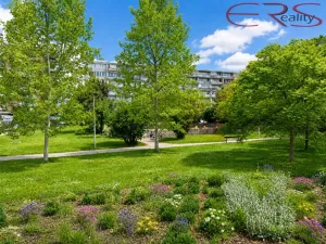 Prodej bytu 2+kk, Praha - Karlín, Nekvasilova, 40 m2