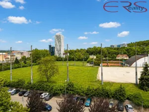 Prodej bytu 2+kk, Praha - Karlín, Nekvasilova, 40 m2