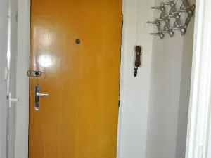 Pronájem bytu 1+1, České Budějovice, Lipenská, 42 m2