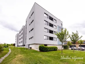 Pronájem bytu 2+kk, Praha, Mrázkova, 50 m2