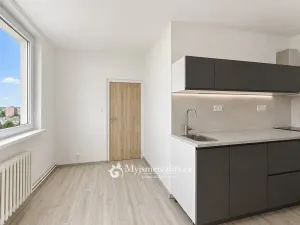 Prodej bytu 3+1, Znojmo, Palackého, 70 m2