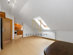 Pronájem bytu 1+1, Štěnovice, Čižická, 44 m2