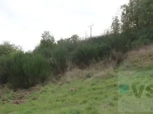 Prodej pozemku, Solenice, 41687 m2