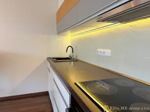 Pronájem bytu 2+kk, Mladá Boleslav, Na Radouči, 60 m2