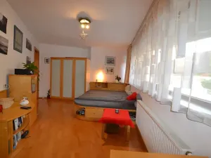 Pronájem bytu 1+kk, Praha - Podolí, Brabcova, 43 m2