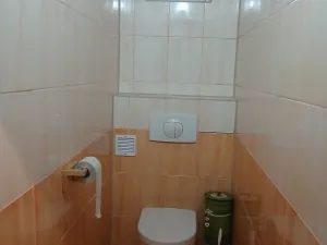 Pronájem bytu 4+1, Modlíkov, 120 m2